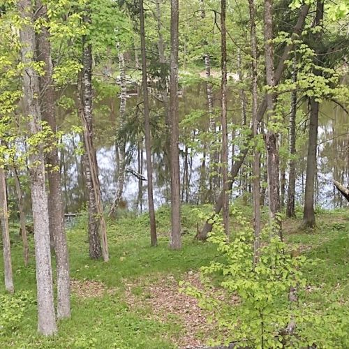 Незавершенное строение базы отдыха