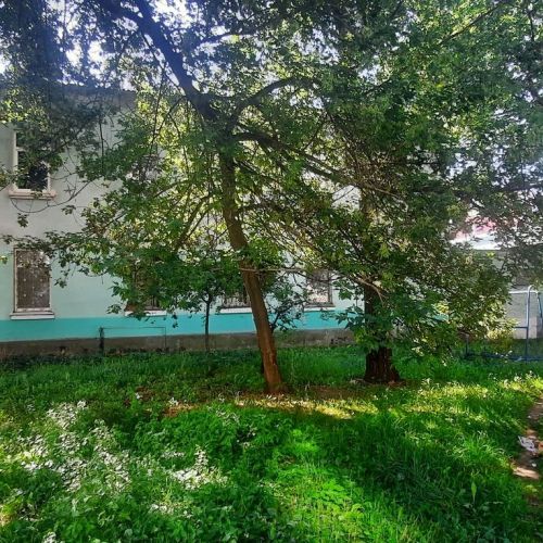 Административное здание со складом в центре Минска