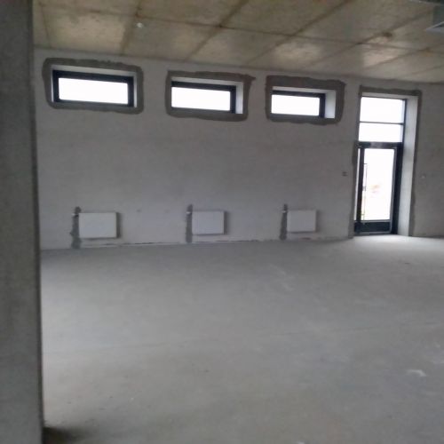 Торговое помещение  № 100/D-152066