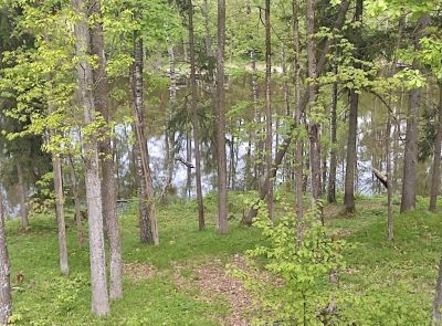 Незавершенное строение базы отдыха